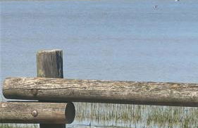 REQUESENS Playa - Foto 75