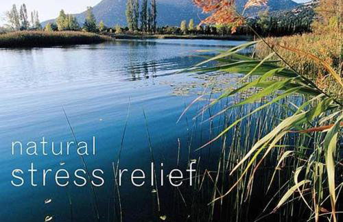 Villa Šolo - Foto 9