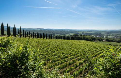 Borgo Argiano - Photo 90