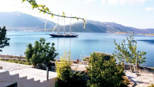 blueline guesthouse - Photo 5