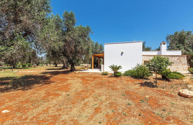 2769 Uliveto Valeria - Trullo Fico by Perle di Puglia - Foto 36