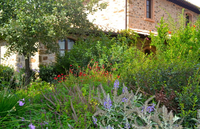 Montecucco Winery - Foto 45