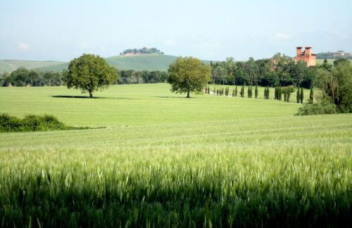Castello di San Fabiano - Foto 57