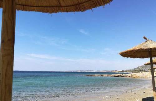 Villa Rosa with private pool, Athens Riviera - Foto 56