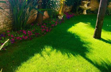 Olympos Paradice Hotel-Near zorbas Beach-FREE Breakfast - Foto 15