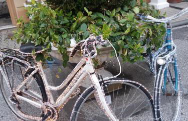 sole mare versilia - Foto 47