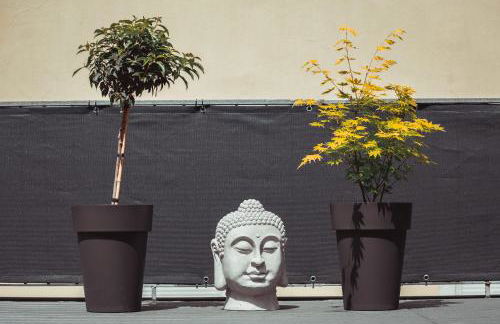 Exklusive Mosel-FeWo in Senheim - große Dachterrasse - Netflix - Waschmaschine - Foto 29