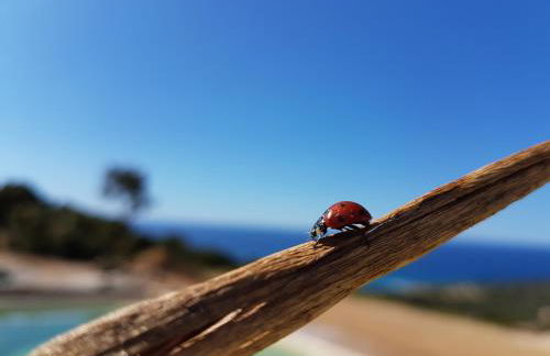 Résidence Lésia - Foto 71