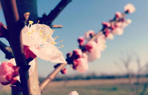 Agriturismo Bassanine - Foto 18