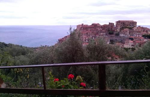 le case dei fiori - Foto 65