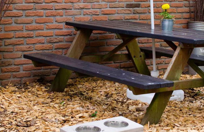 Comfort Sauna 4p in Uelsen - Foto 26