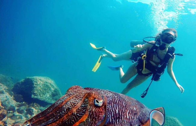 Bautismo de buceo en Dibba Al-Fujairah - Foto 1