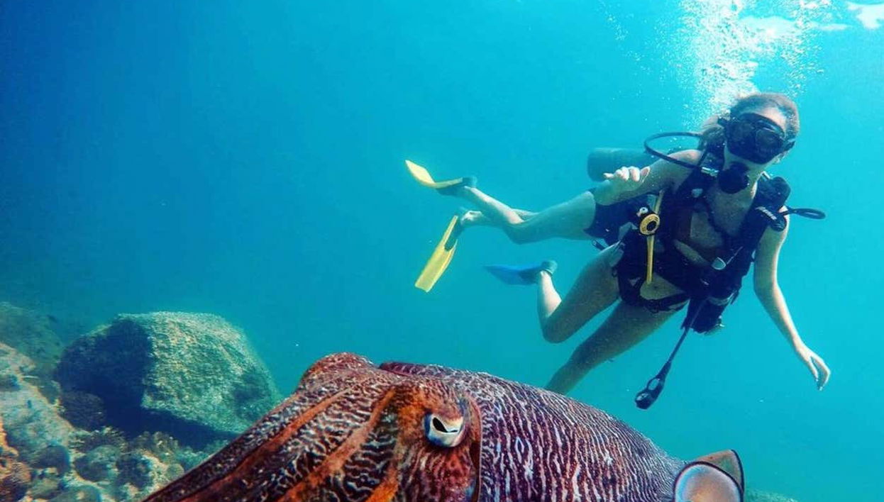 Diving in Dibba Al-Fujairah