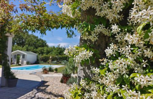 Villa Lente - Photo 62