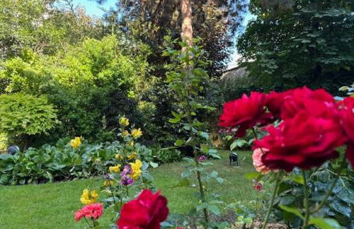 L'écrin du 12- Studio élégant sur jardin avec parking - Foto 12