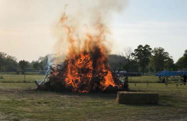 Landliebe Aulosen - Foto 33