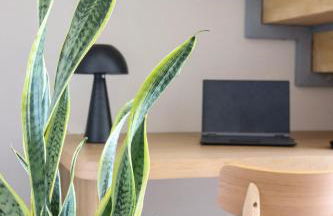 Vabel Skiathos - Foto 14