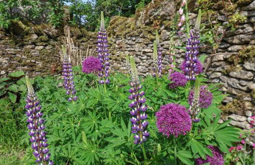 Bute Cottage - Photo 56