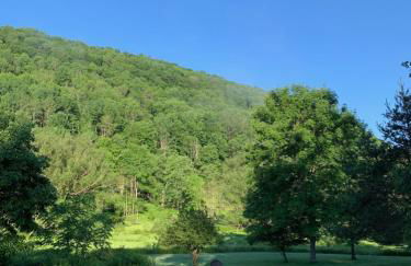 The Maples Apt - King Bed, Pet Friendly, Beautiful Views - Foto 21