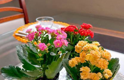 Hospedagem Zilz - Foto 12