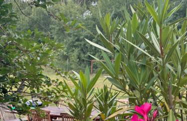 Country house villa near Berlin - Foto 8