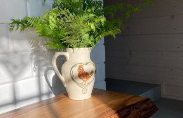 Siedlisko Brzozowe - Foto 14