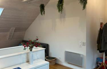 La Pistacherie à 30m de la plage de Grande Rive - Foto 10