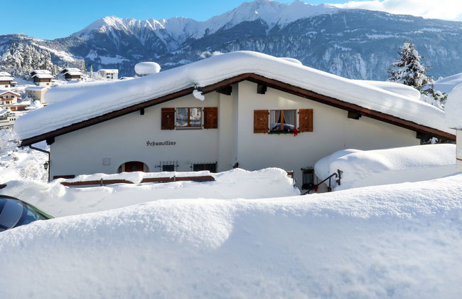 Schumellins (LAA400) - Foto 21