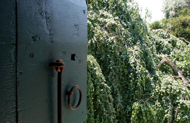 Agriturismo Barchessa - Foto 54