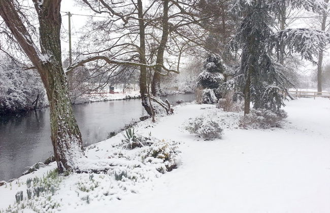 Bridge Farmhouse - Foto 41