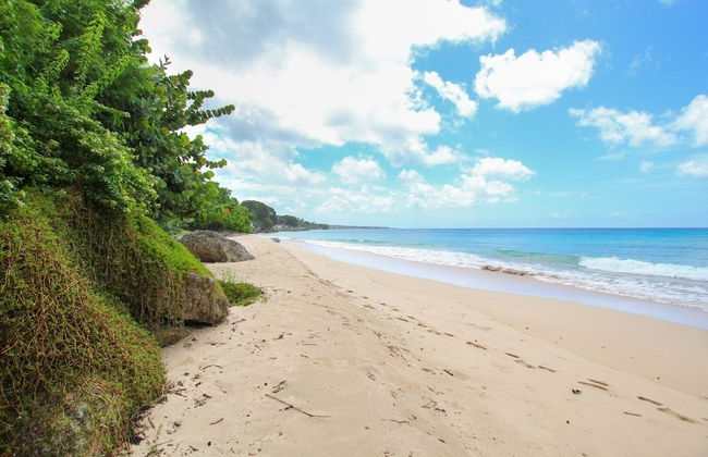 Secluded Beachfront Villa with Large Pool and Gardens - Fryers Well Bay by BSL Rentals - Foto 26