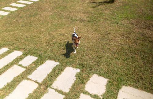 Villa Uljar with additional Chalet - exclusive Istria, Jakomici - Foto 29