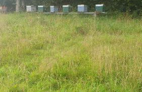 Gîte campagnard 11 personnes - Photo 31