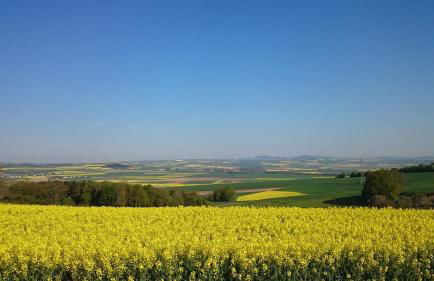 Ferienwohnung Maifeld - Foto 23