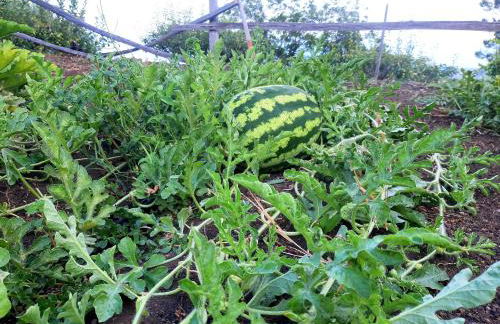 Casa Leopina Apri gli occhi e vola oltre il mare - Foto 42