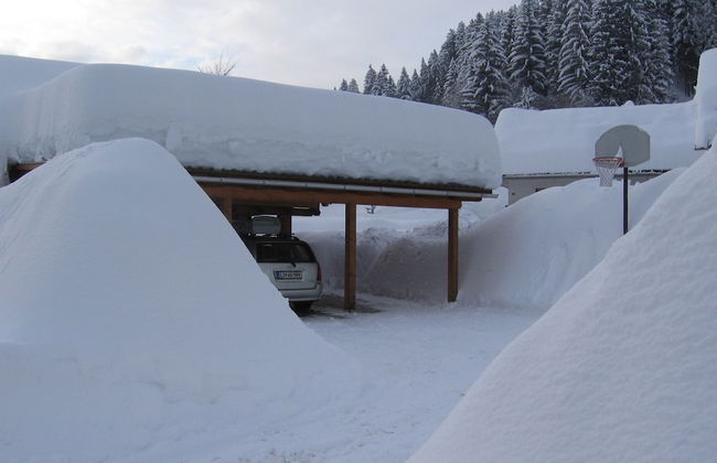 Apartments Jakelj - Foto 24