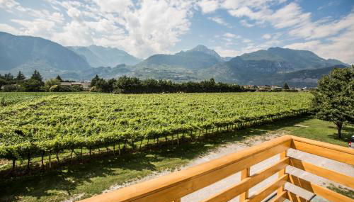 Le Servite Apartments - Foto 3