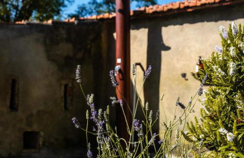 CASENUOVE III - Casale con giardino e piscina - Foto 10