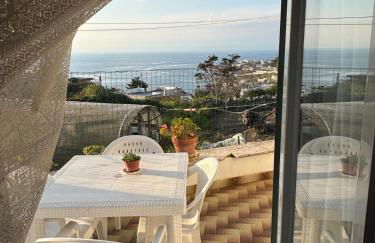 A cas e Rosa - Foto 36