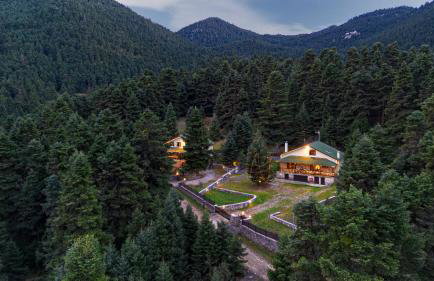 Dandy Villas Elatodasos - Chalet Artemis - Fir Forest - Jeep & Nature Lovers - Foto 2