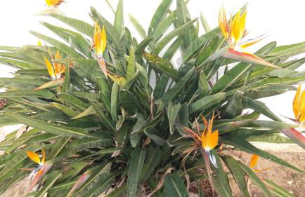 Villa Balneari Resort Casa Vacances Per Famílies Chalet Casa Rural - Foto 158