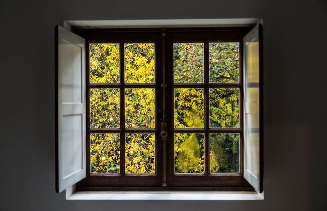 Quinta da Roseira - Foto 20