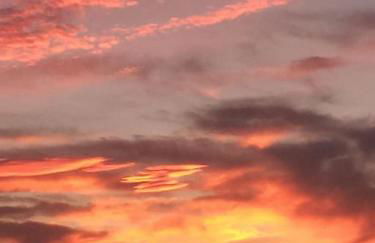 Podere Biricocolo - Il Cortile - Foto 54