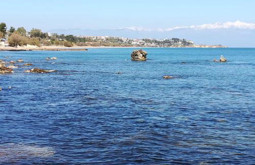 Villa Mariana - Foto 48