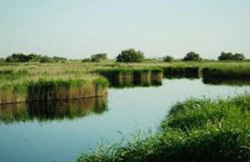 SUITE LUJOSO CON CHIMENEA - Foto 23