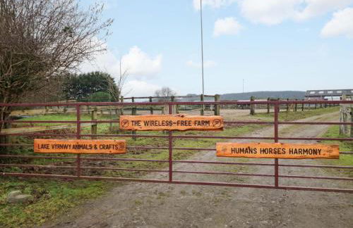 Bryn Y Garreg Cottage - The Wireless Tech Free Farm - Photo 40