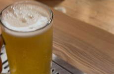 Wellness Ferienwohnung mit Sauna, Massagen, Spa, beheizbarem Whirlpool bei Leipzig - Foto 21