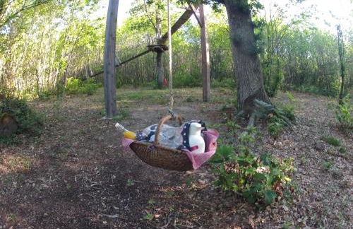 Ô bois dormant - Foto 63