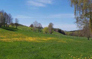 Ferienhaus Polly - Keine Monteure - Foto 26