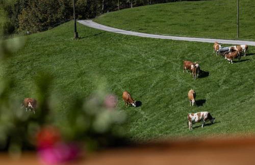 Bergbauernhof Schoberlehen - Foto 5